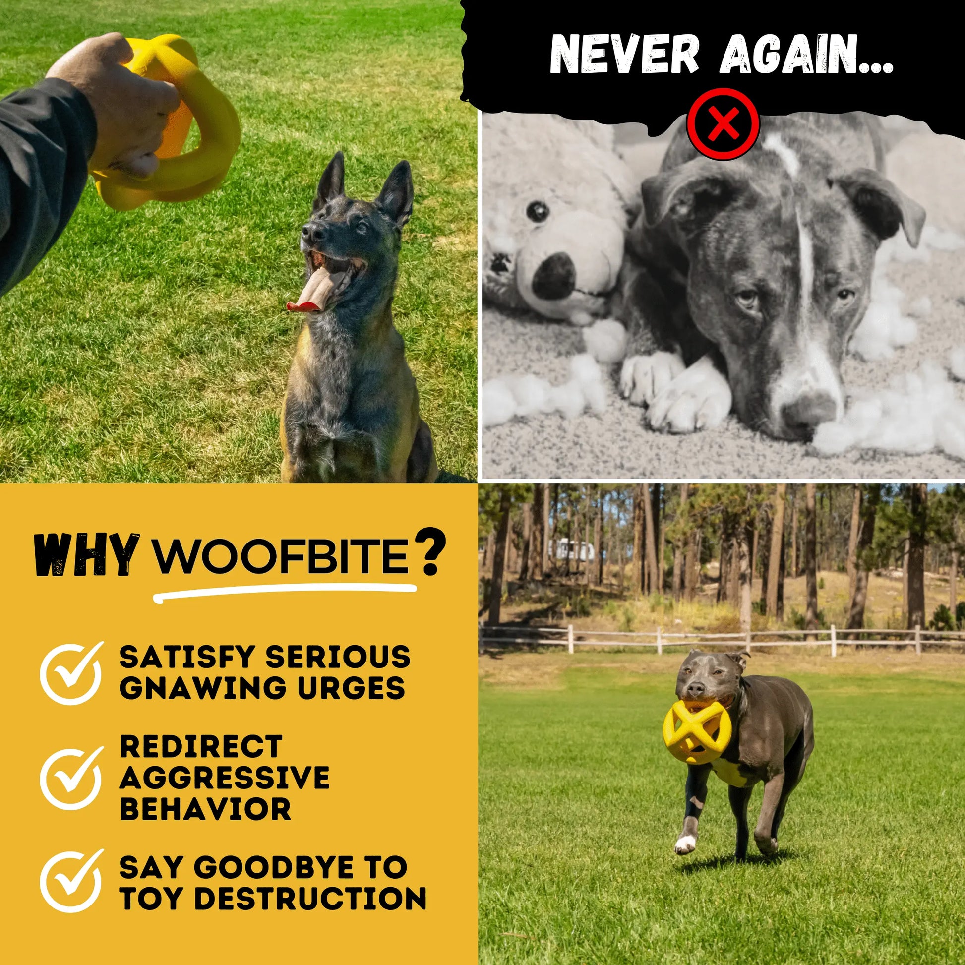 Giant Indestructible Dog Ball – Built for Large Breeds & Power Chewers
