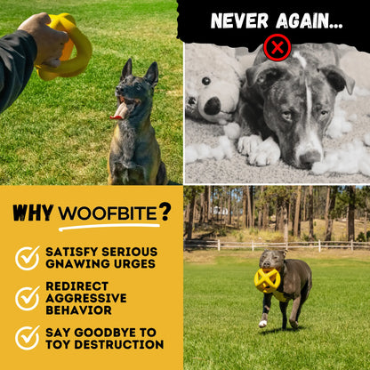 Giant Indestructible Dog Ball – Built for Large Breeds & Power Chewers