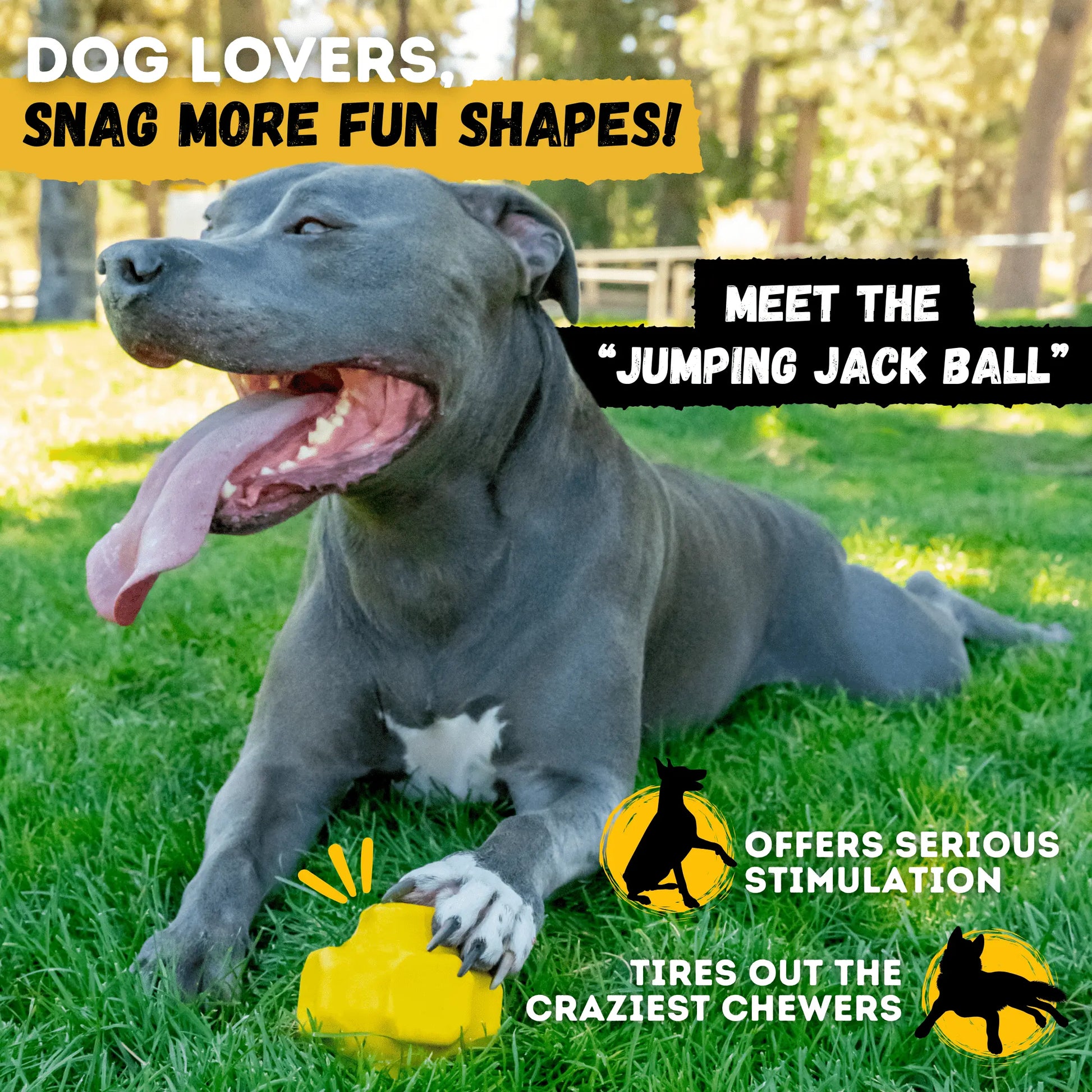 Giant Indestructible Dog Ball – Built for Large Breeds & Power Chewers