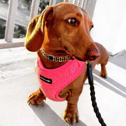 Plush Teddy Fabric Dog Harness – Ultra-Soft & Adjustable | Hot Pink