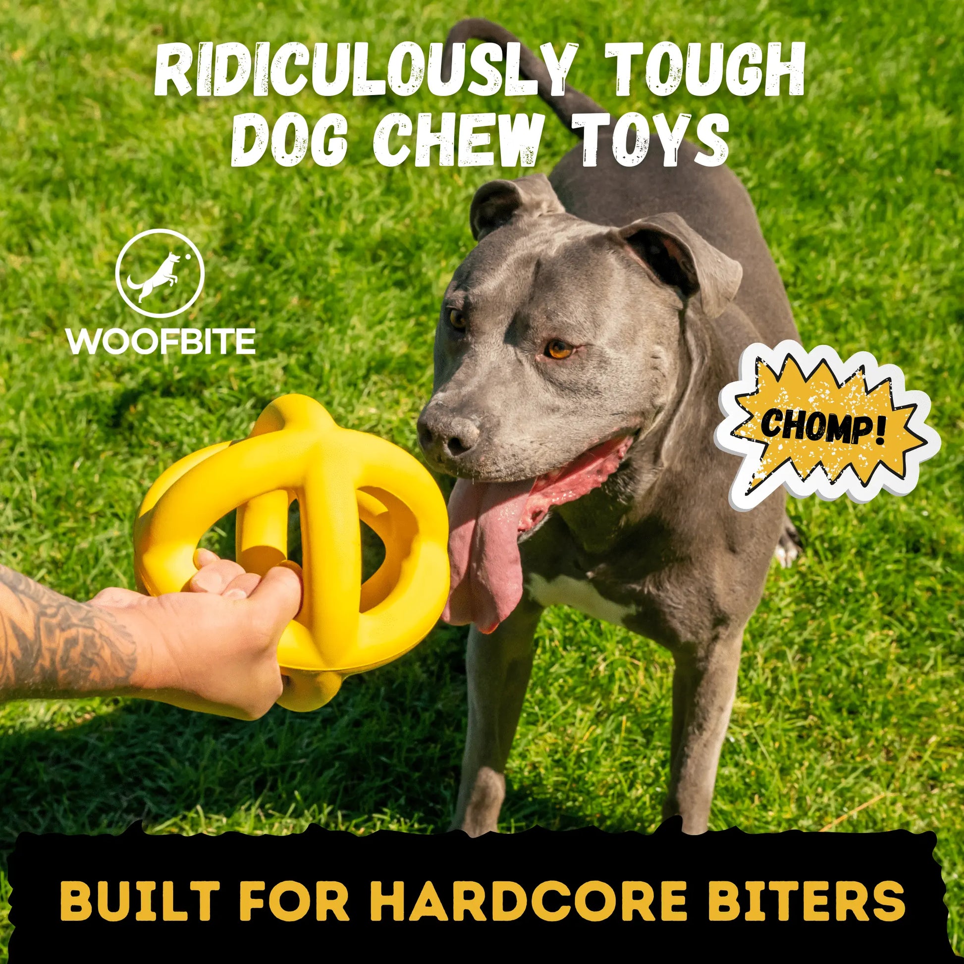 Giant Indestructible Dog Ball – Built for Large Breeds & Power Chewers
