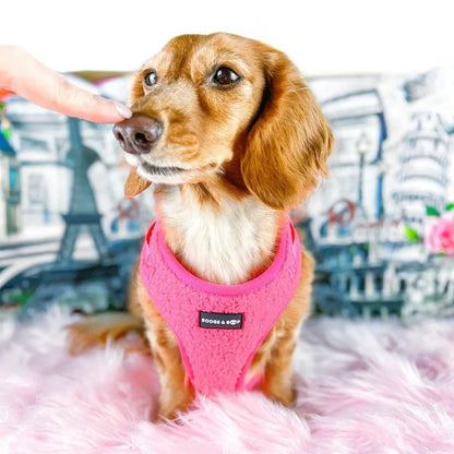Plush Teddy Fabric Dog Harness – Ultra-Soft & Adjustable | Hot Pink