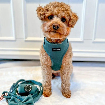 Soft Corduroy Dog Harness – Stylish & Adjustable | Sage Green