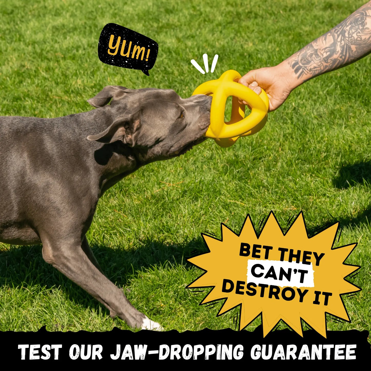 Giant Indestructible Dog Ball – Built for Large Breeds & Power Chewers