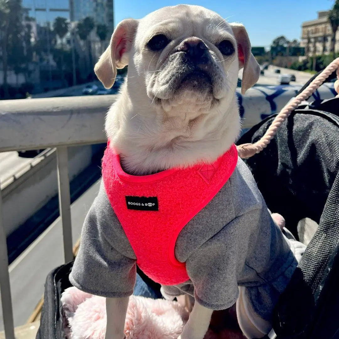 Plush Teddy Fabric Dog Harness – Ultra-Soft & Adjustable | Hot Pink