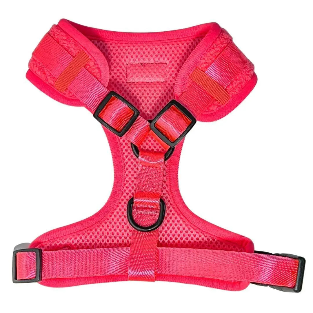 Plush Teddy Fabric Dog Harness – Ultra-Soft & Adjustable | Hot Pink