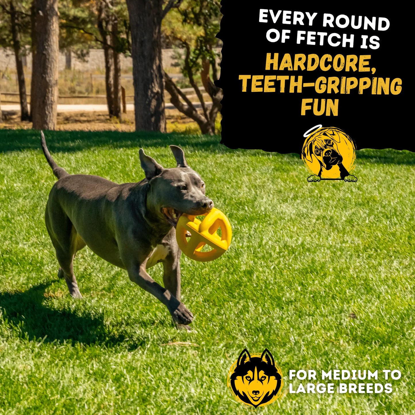 Giant Indestructible Dog Ball – Built for Large Breeds & Power Chewers