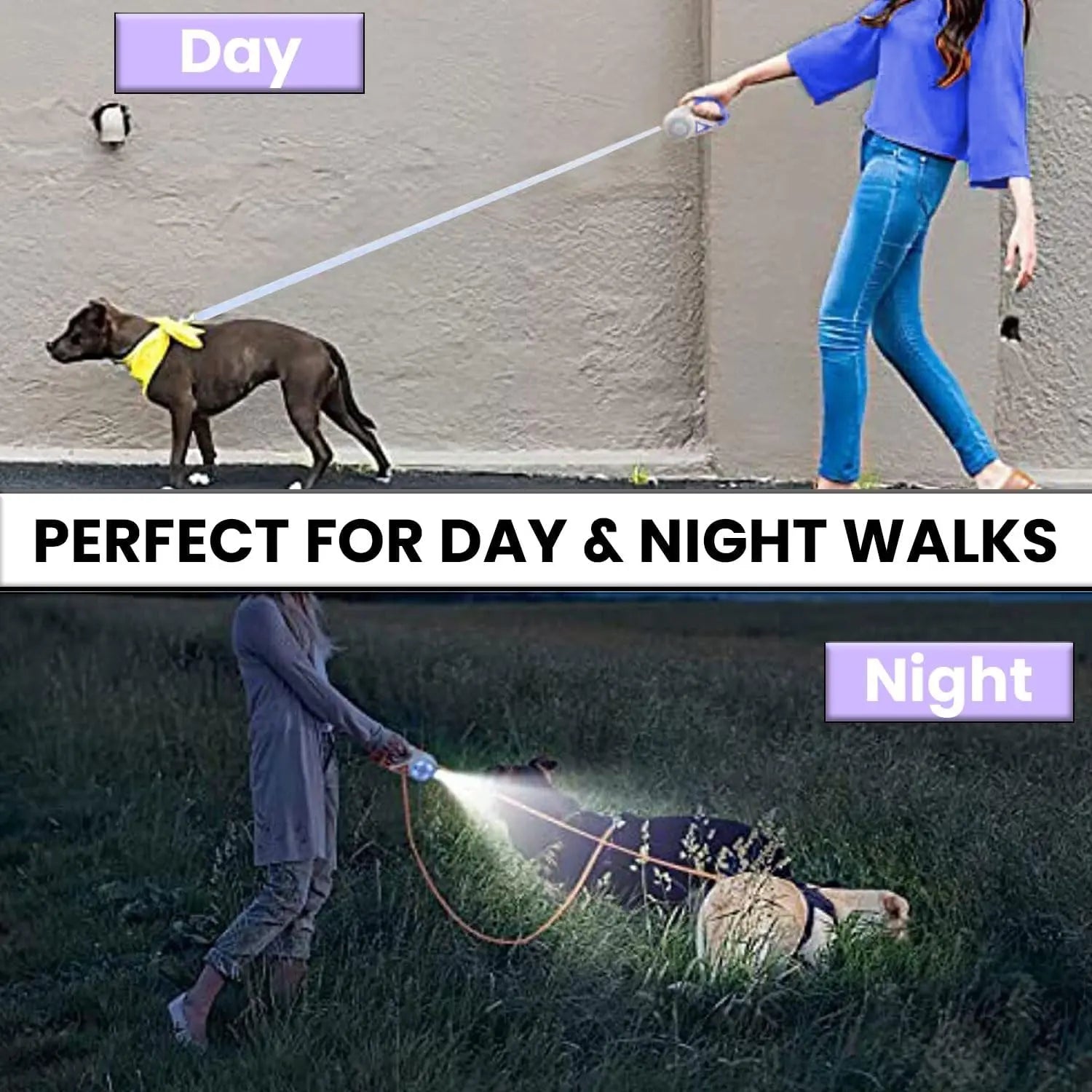 Retractable Dog Leash with Built-In LED Light – Safe Night Walks Every Time